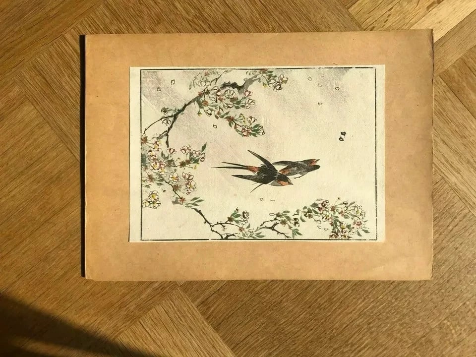 Antique Old Japanese WoodPrint Birds and Flowers c. 1890 Ukiyo-e Asian Art Print - 9