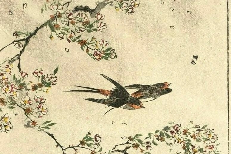 Antique Old Japanese WoodPrint Birds and Flowers c. 1890 Ukiyo-e Asian Art Print - 2