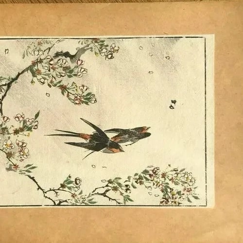 Antique Old Japanese WoodPrint Birds and Flowers c. 1890 Ukiyo-e Asian Art Print - 4