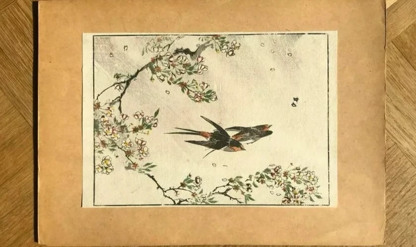 Antique Old Japanese WoodPrint Birds and Flowers c. 1890 Ukiyo-e Asian Art Print - 7