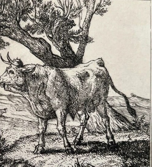 Louis GUY (1824-1888) Landscape, Cows 1875 - Etching Original - 6