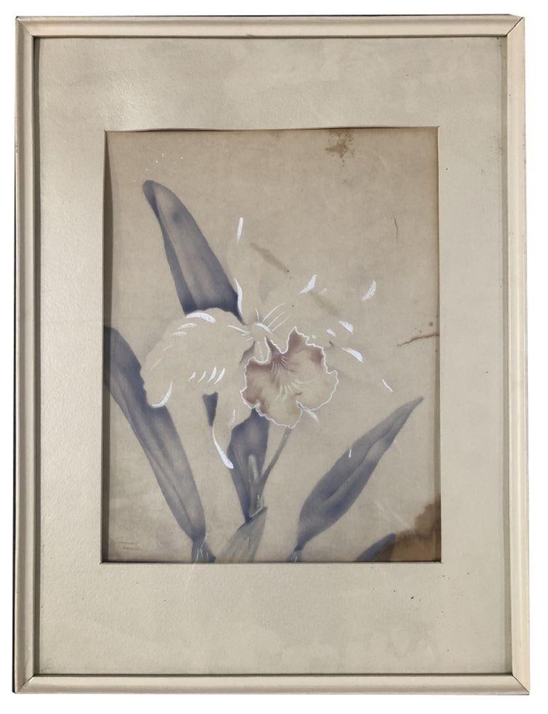 Post War White Orchid Airbrush Painting on Paper by Tip Freeman, Framed - 2