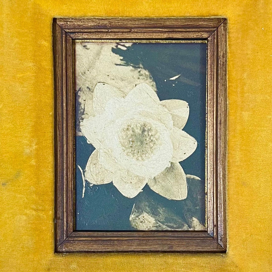 Still Life Floral "Water Lily" Oil on Board by James Pasqual Bettio - 2