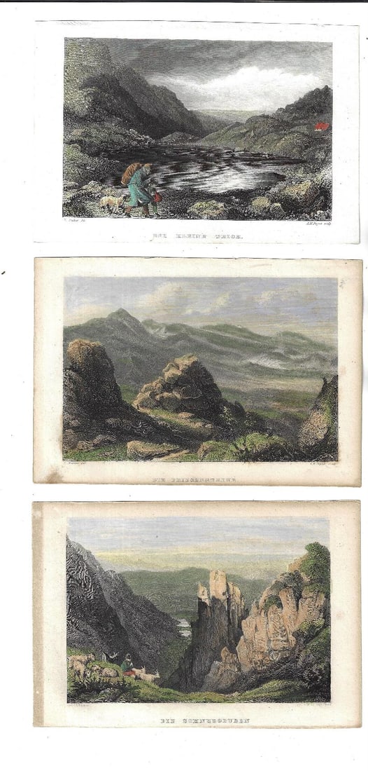 1850 Colored German Landscape Prints: Title: 1850 Colored German Landscape Prints Additional Information: Group of five colored engravings showing German landscapes by Richter and others. Circa 1850 7 by 5 inches each one larger. Fine