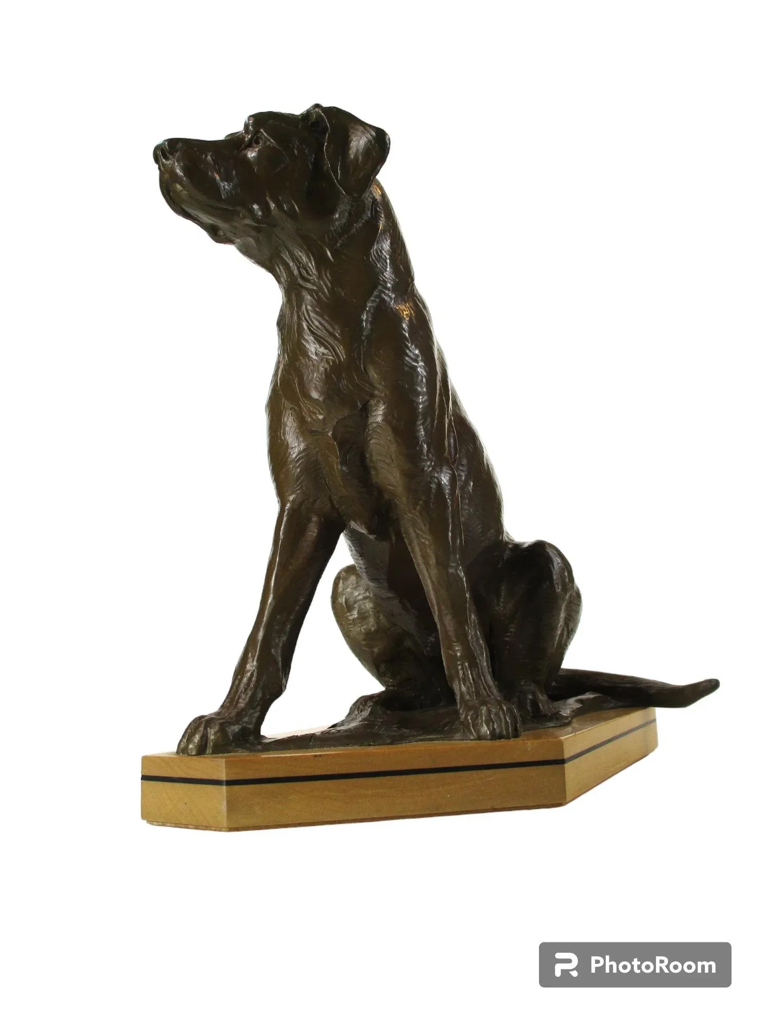 Bronze Dog Statue Lab, Labrador Sitting Wooden Bace Artist Signed: Name? & 1995 - 3