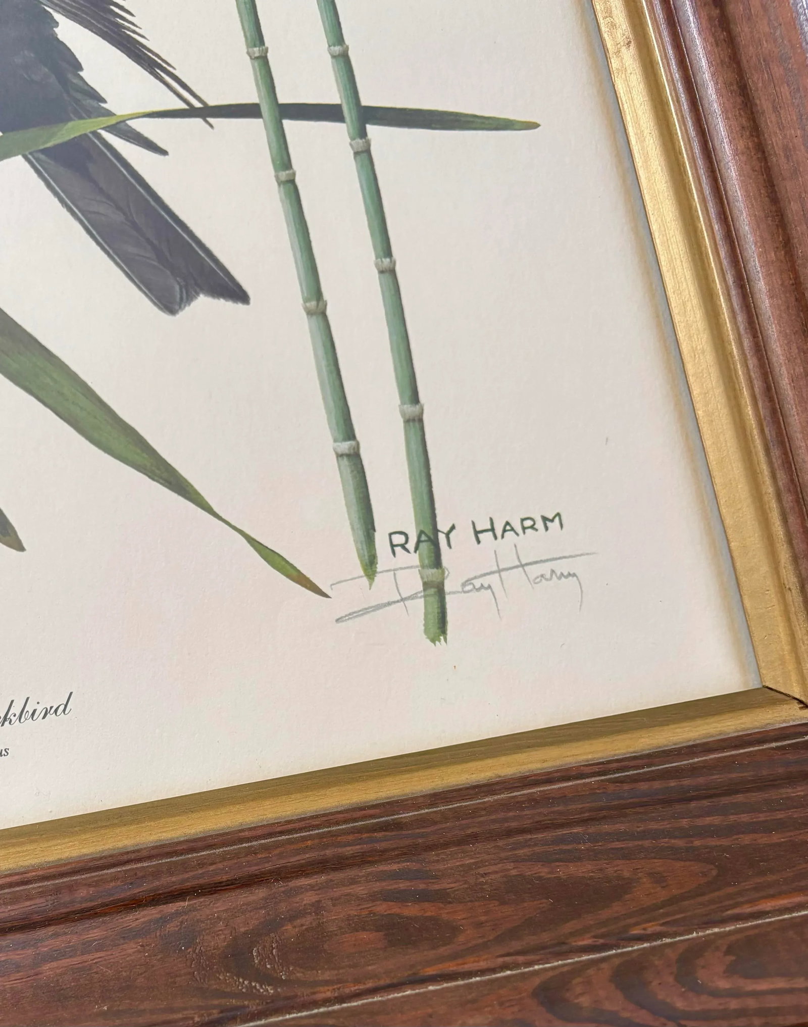 1970s Lithograph Western Bird Prints by Ray Harm, Framed and Signed, a Pair - 7
