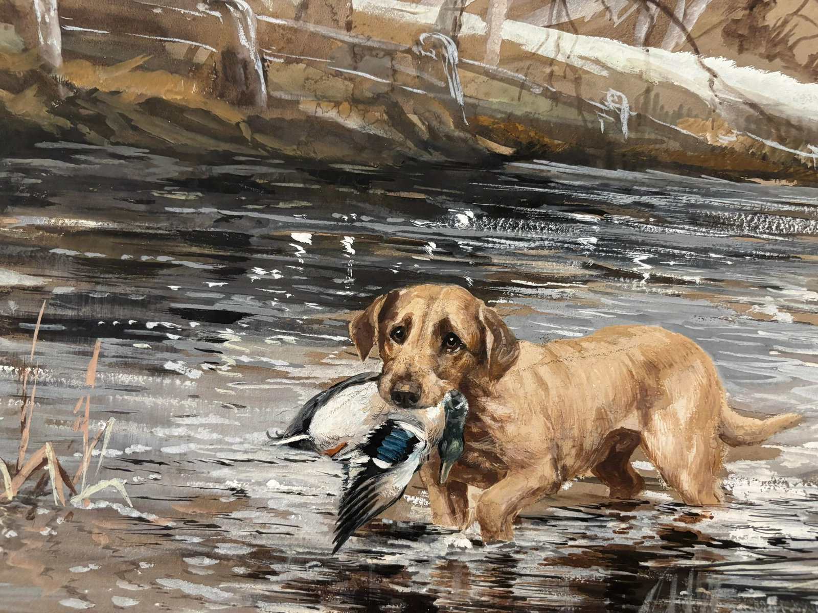 1960s Mid Century Sporting Interest American Gouache Painting of Hunting Dog Carrying a Duck - 3