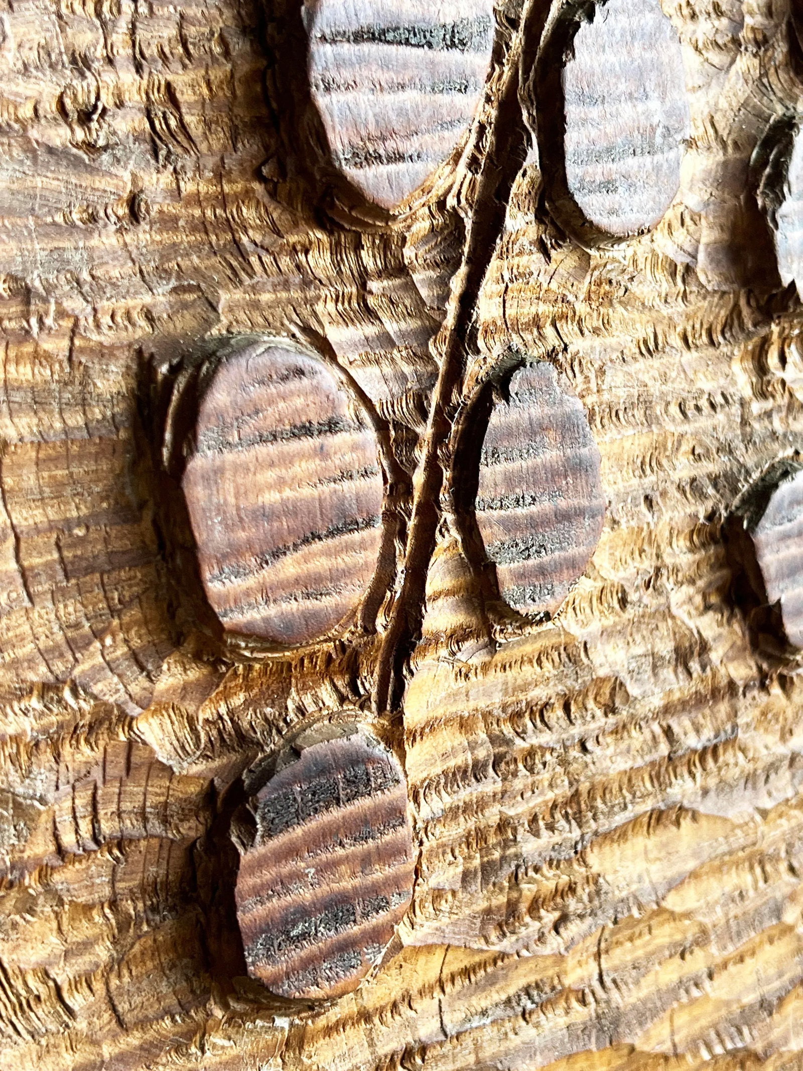 Vintage Mid Century Modernist Carved Wood Wall Sculpture Signed 'Tomer' - 5