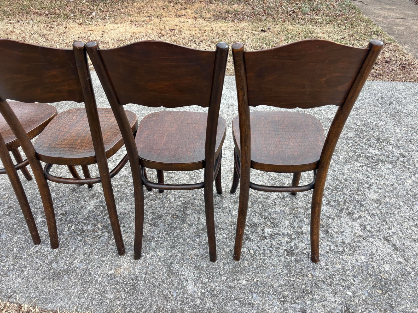 1920s Model 255 Thonet Bentwood Chairs "Crocodile" Pattern, Set of 4 - 12
