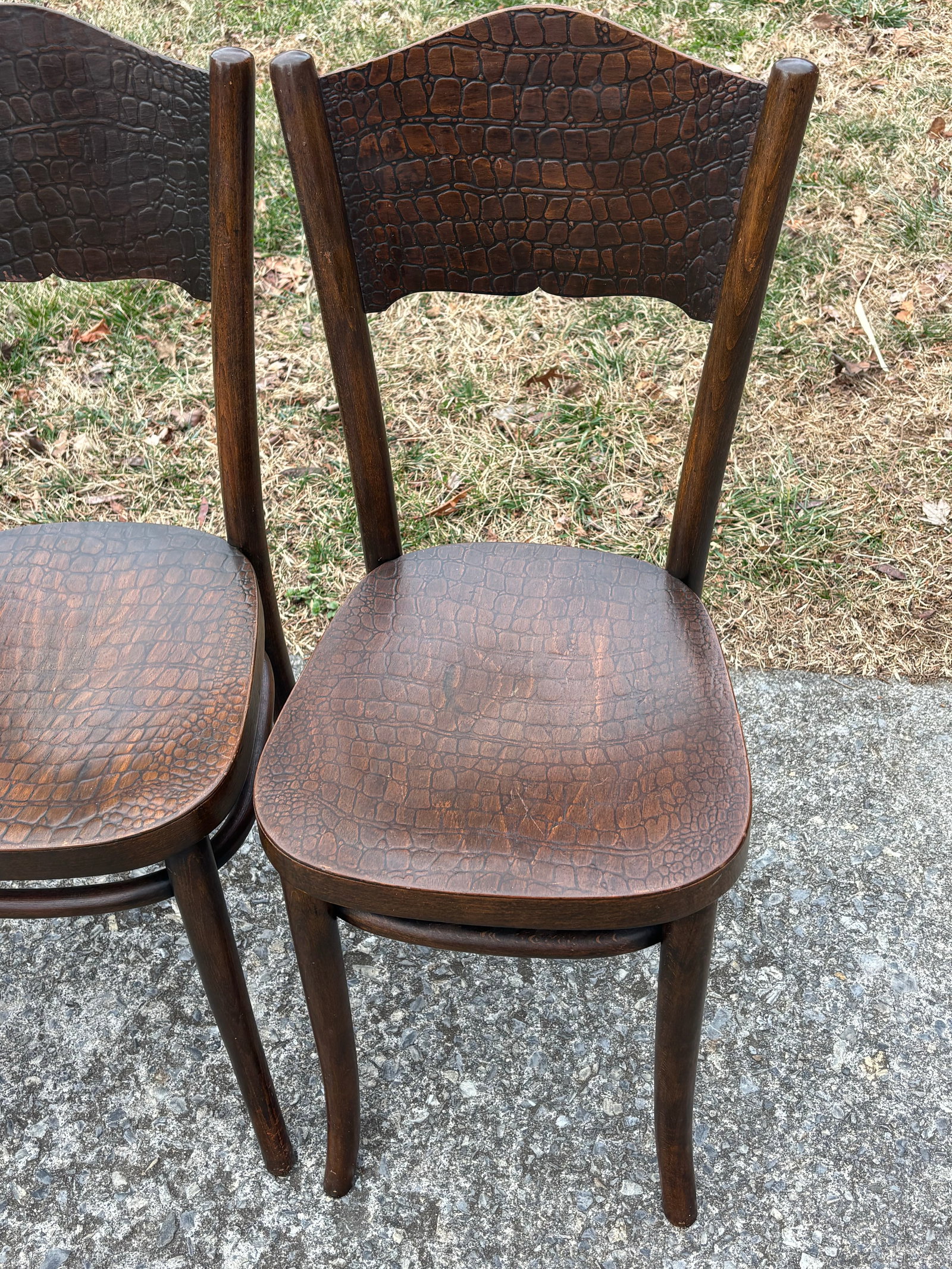 1920s Model 255 Thonet Bentwood Chairs "Crocodile" Pattern, Set of 4 - 5