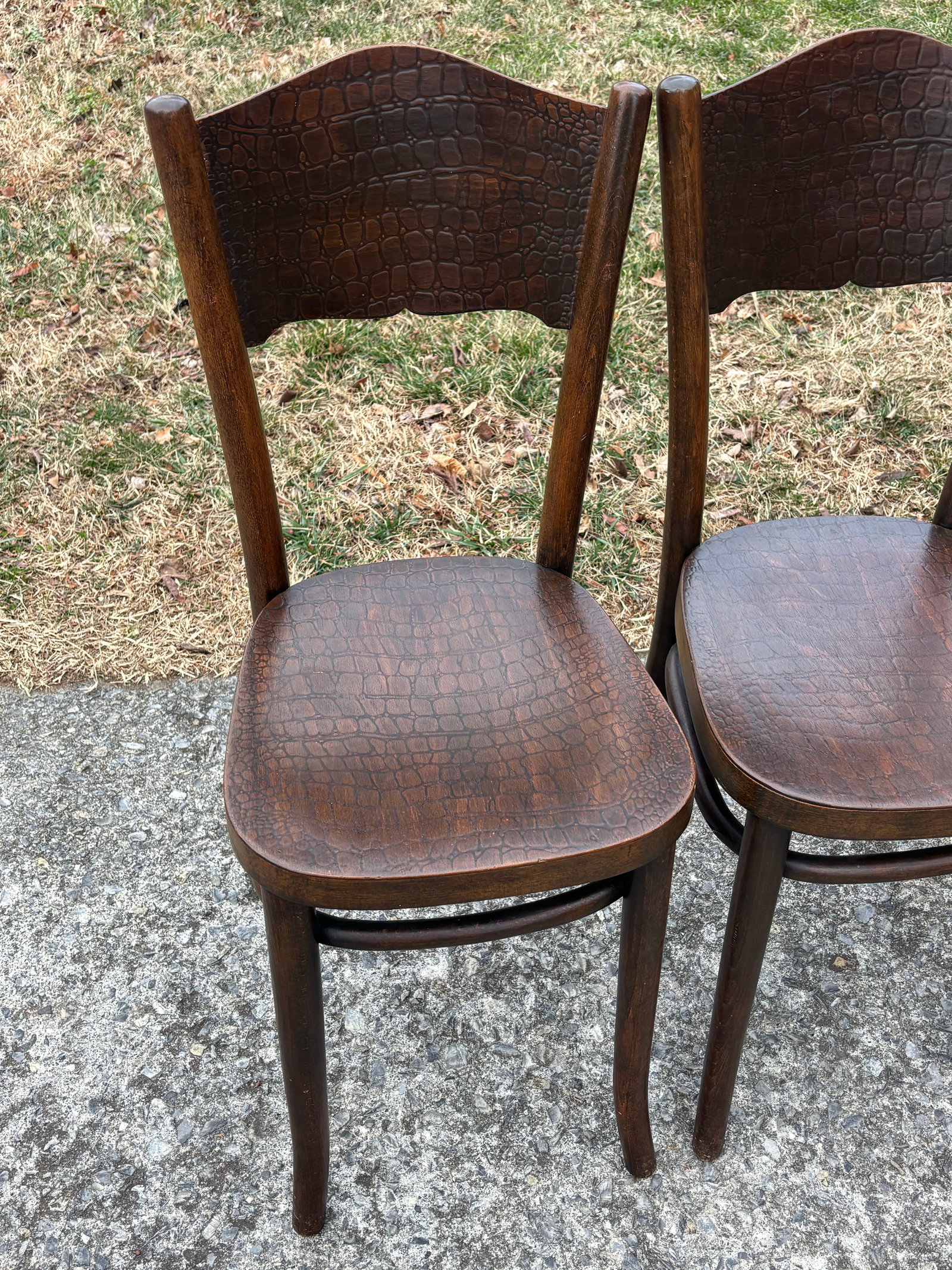 1920s Model 255 Thonet Bentwood Chairs "Crocodile" Pattern, Set of 4 - 6
