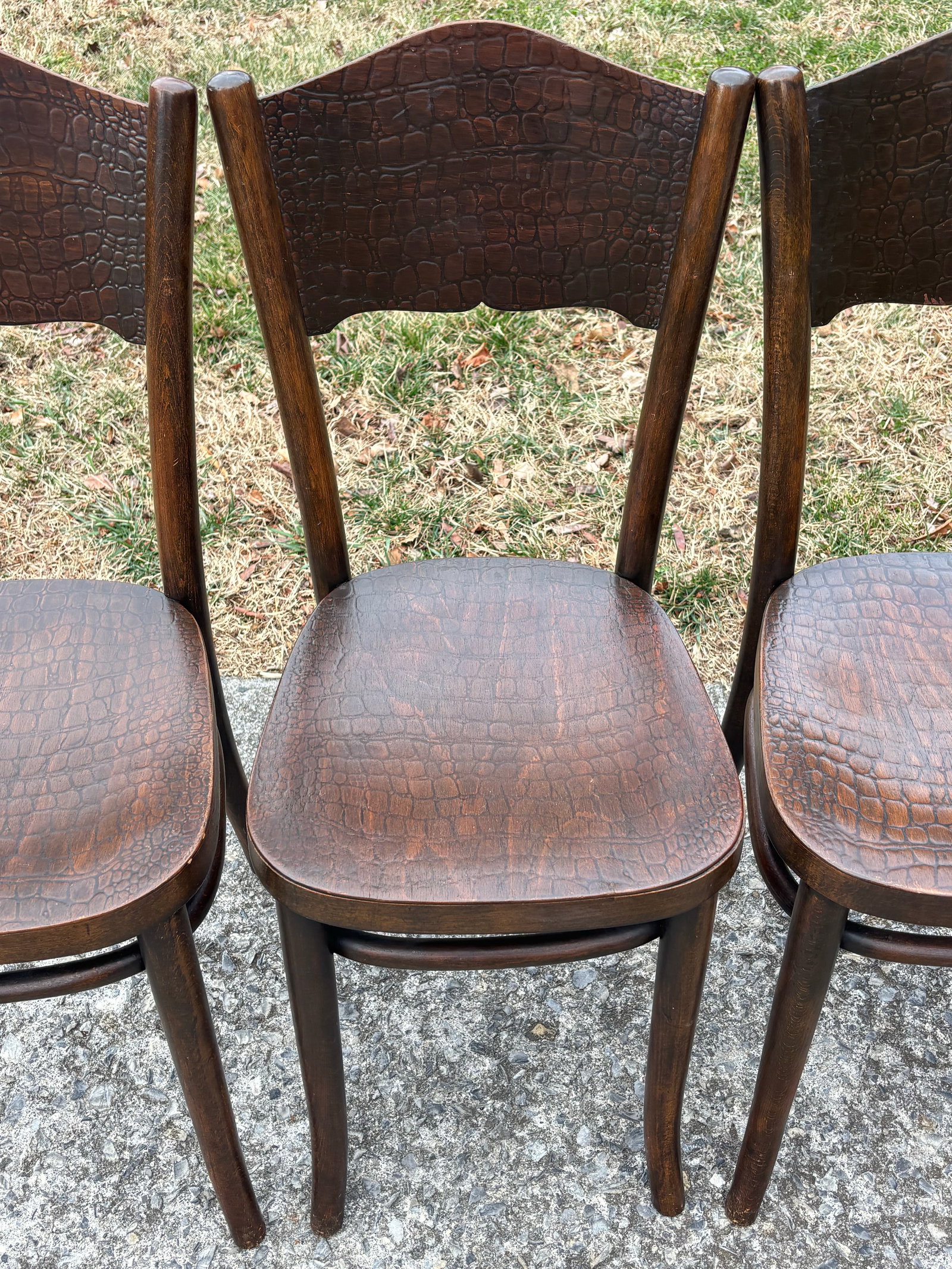 1920s Model 255 Thonet Bentwood Chairs "Crocodile" Pattern, Set of 4 - 8