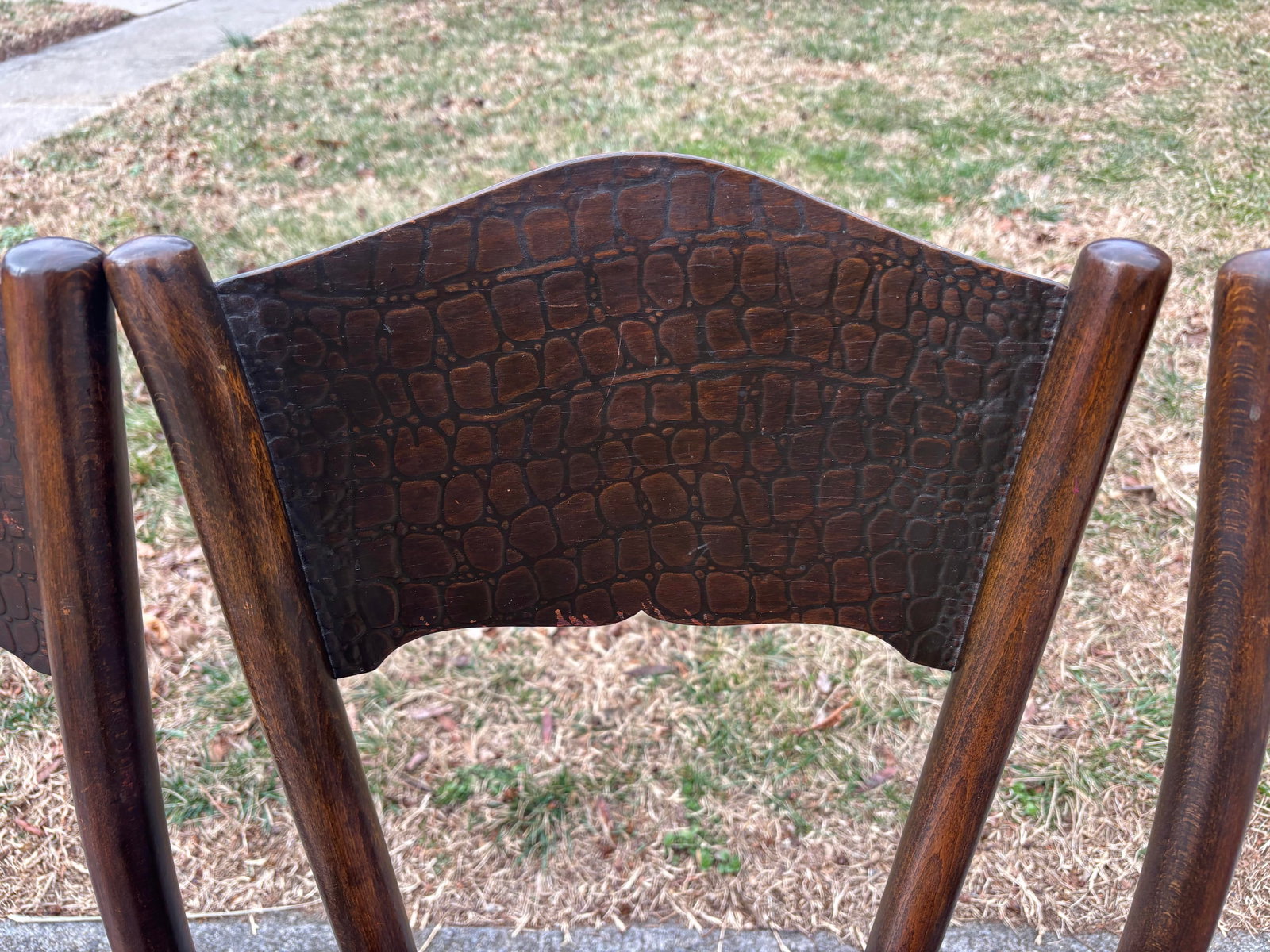1920s Model 255 Thonet Bentwood Chairs "Crocodile" Pattern, Set of 4 - 9