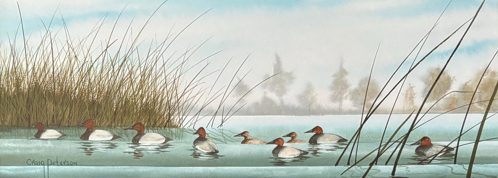Canvasback Duck Watercolor Landscape by American Artist Craig Peterson (1946-2024), Framed - 2
