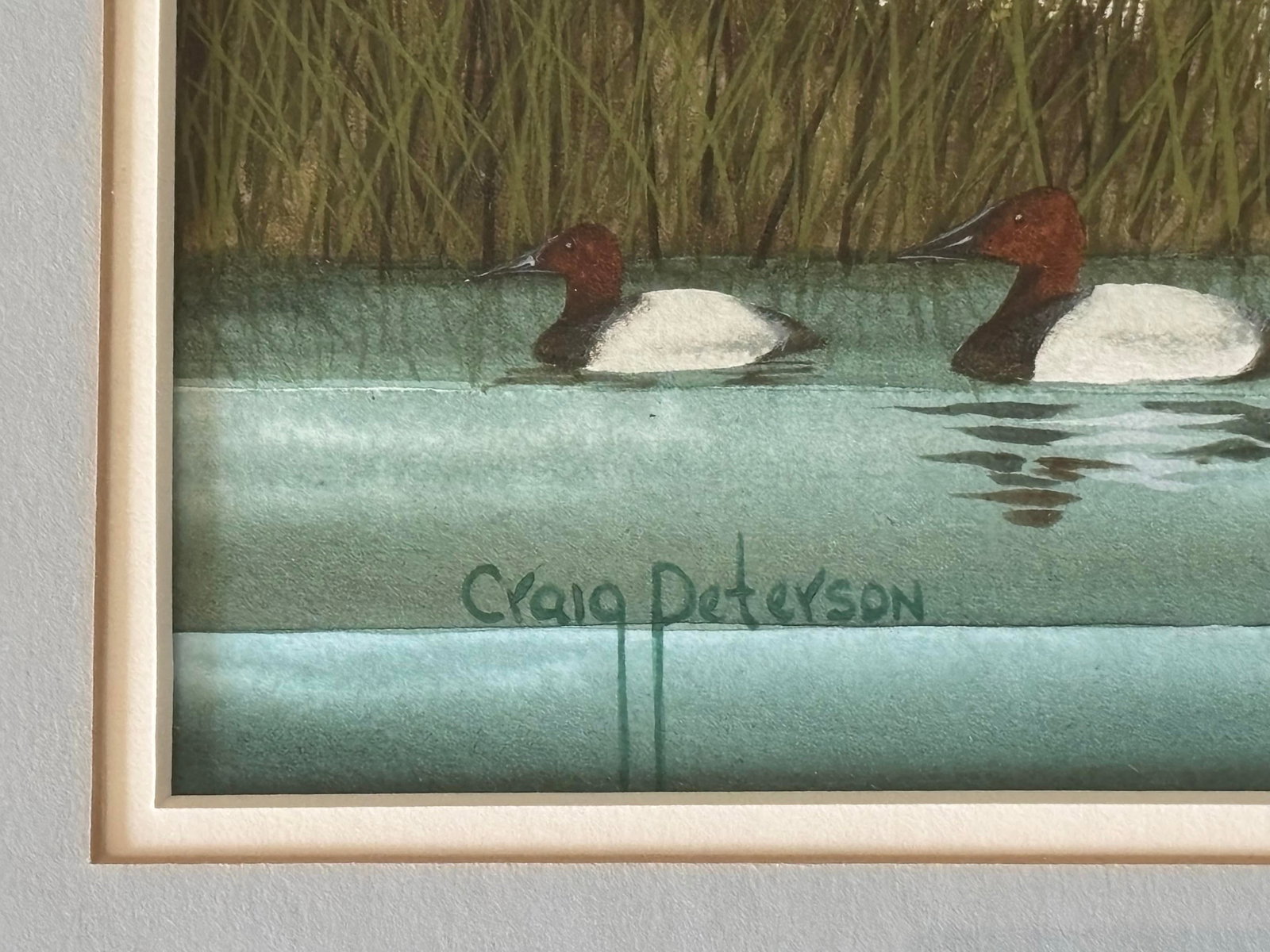 Canvasback Duck Watercolor Landscape by American Artist Craig Peterson (1946-2024), Framed - 3