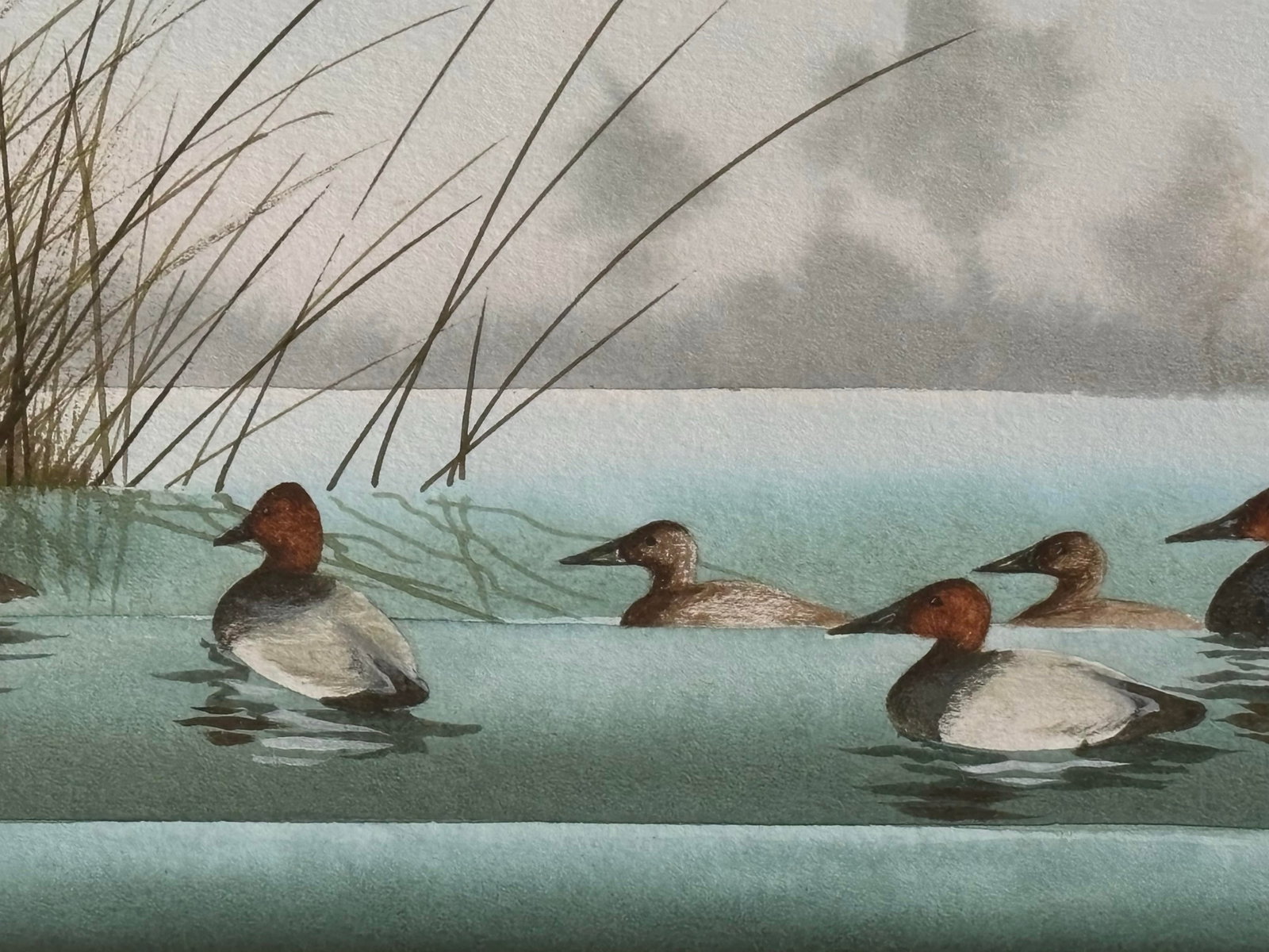 Canvasback Duck Watercolor Landscape by American Artist Craig Peterson (1946-2024), Framed - 6
