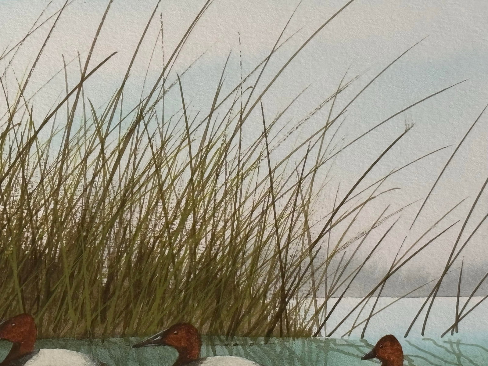 Canvasback Duck Watercolor Landscape by American Artist Craig Peterson (1946-2024), Framed - 7