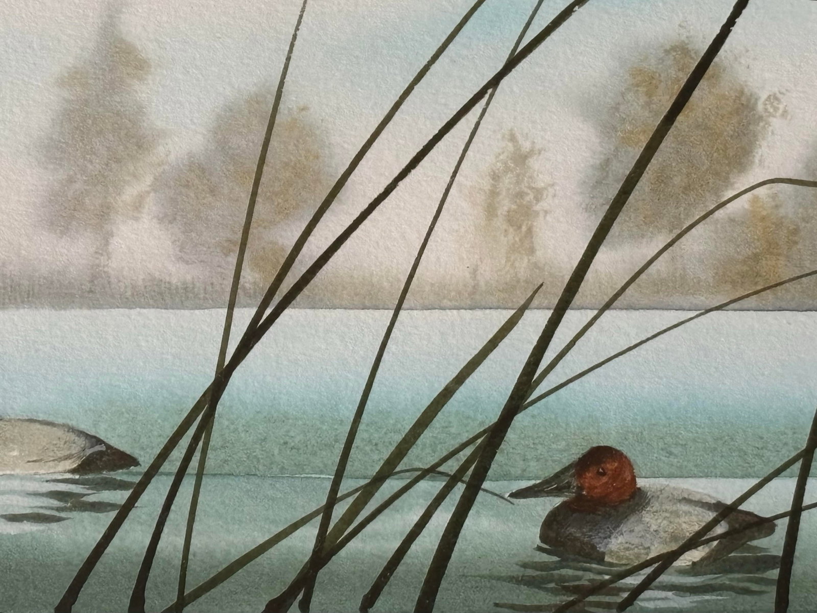Canvasback Duck Watercolor Landscape by American Artist Craig Peterson (1946-2024), Framed - 8