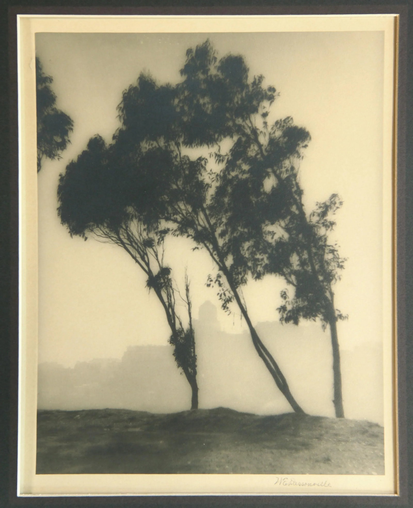 Antique C.1920's William Edward Dassonville San Francisco From Telegraph Hill Photograph - 2