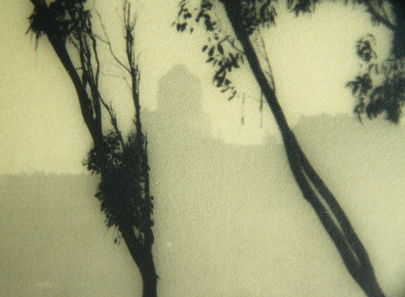 Antique C.1920's William Edward Dassonville San Francisco From Telegraph Hill Photograph - 4