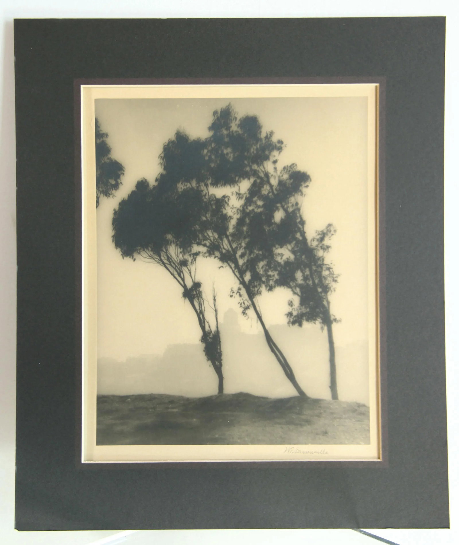 Antique C.1920's William Edward Dassonville San Francisco From Telegraph Hill Photograph - 5