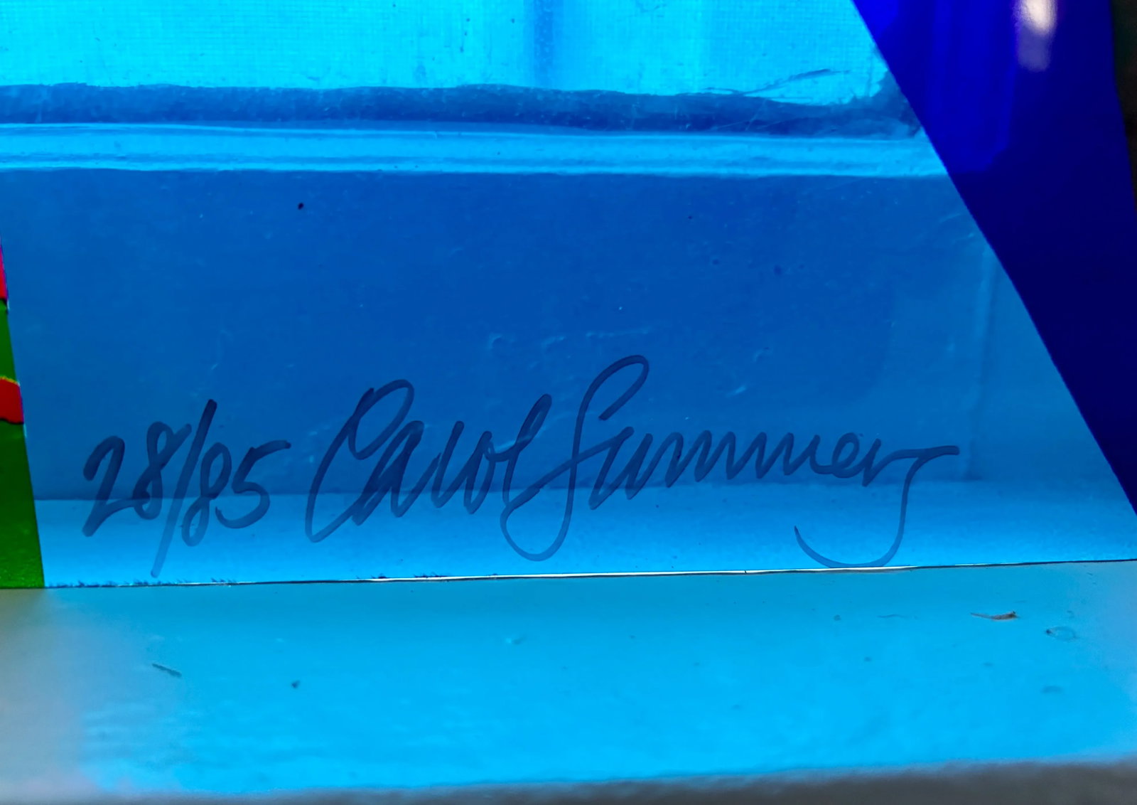 Original Signed Carol Summers "First International Salmon Creek Grass Festival" Poster - 12