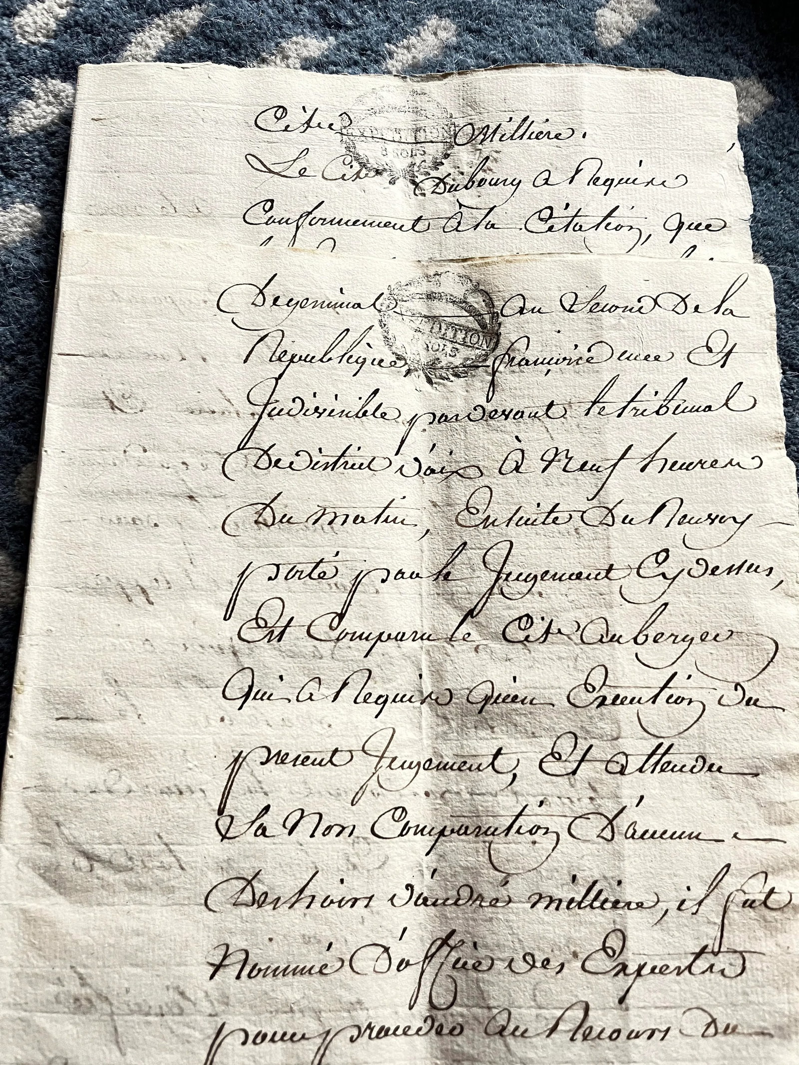 Antique Early 19th Century French Vineyard Calligraphy Contract on Parchment in Floating Frames - a - 10