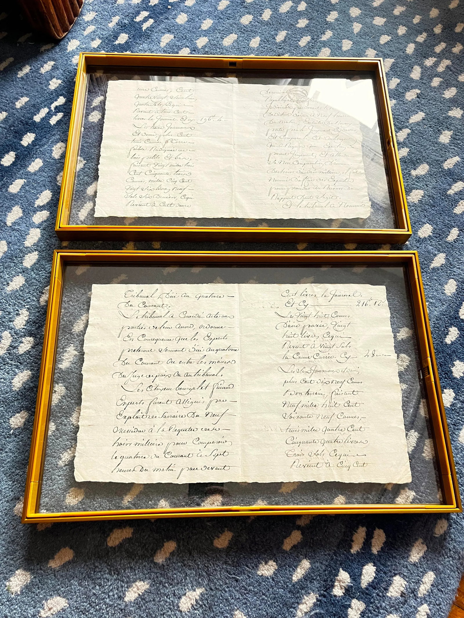 Antique Early 19th Century French Vineyard Calligraphy Contract on Parchment in Floating Frames - a - 5