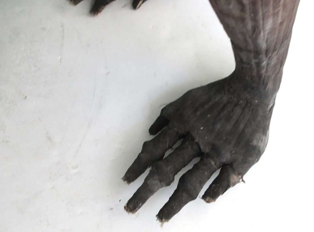 Vintage Life Size Leather Macaque Monkey Sculpture From India - 8