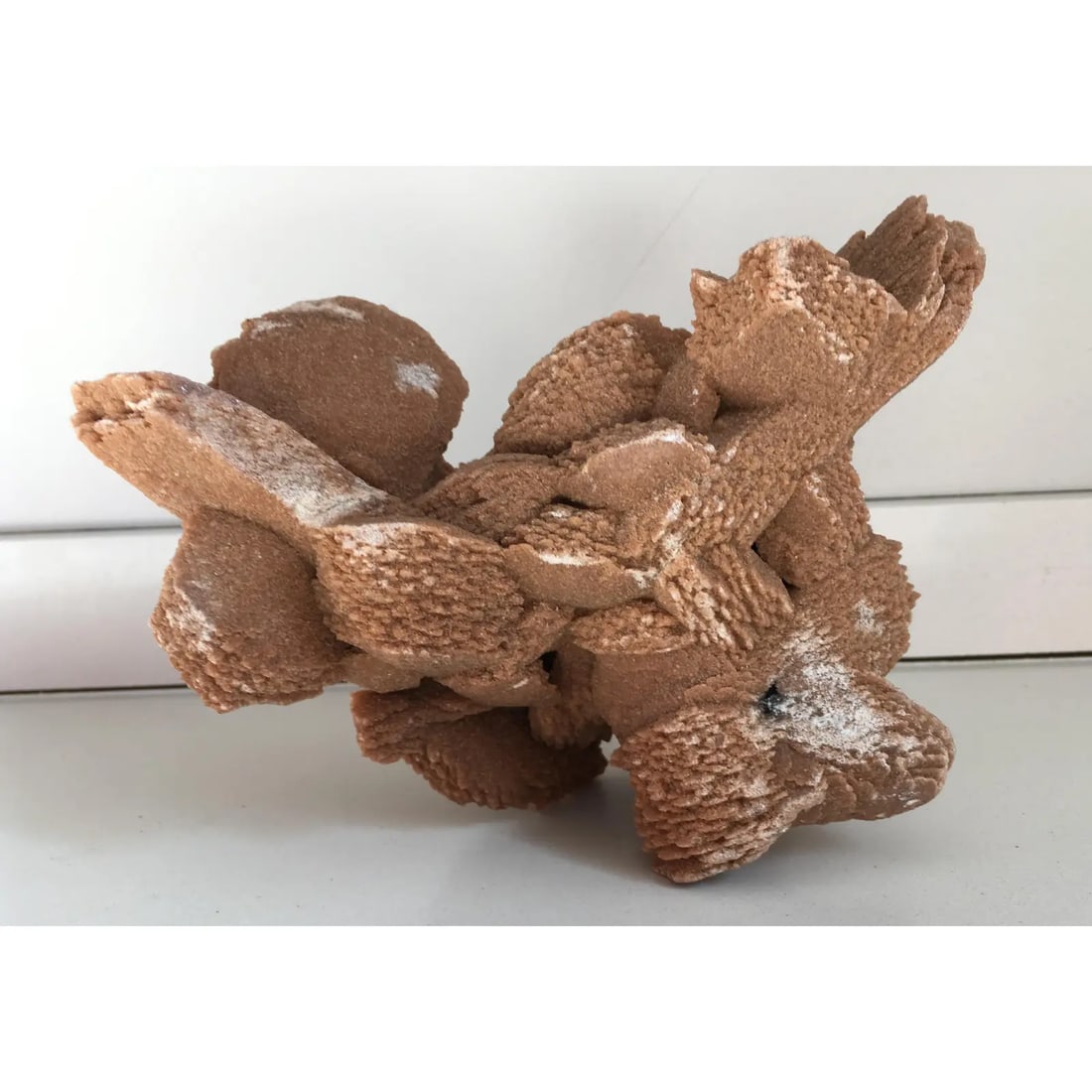 Desert Rose Selenite Crystal Formation - 2