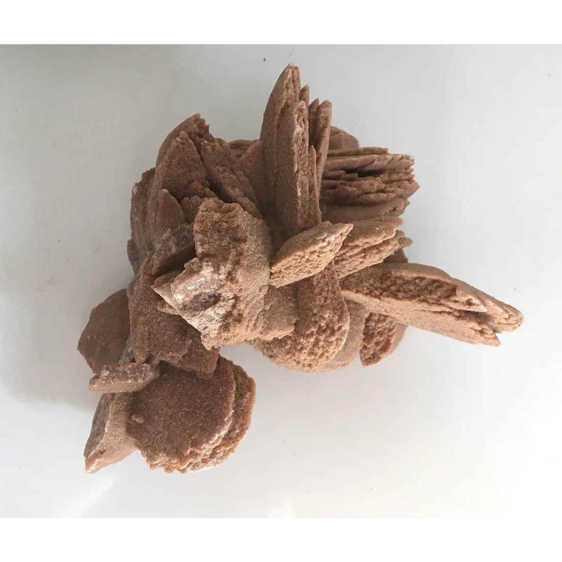Desert Rose Selenite Crystal Formation - 3