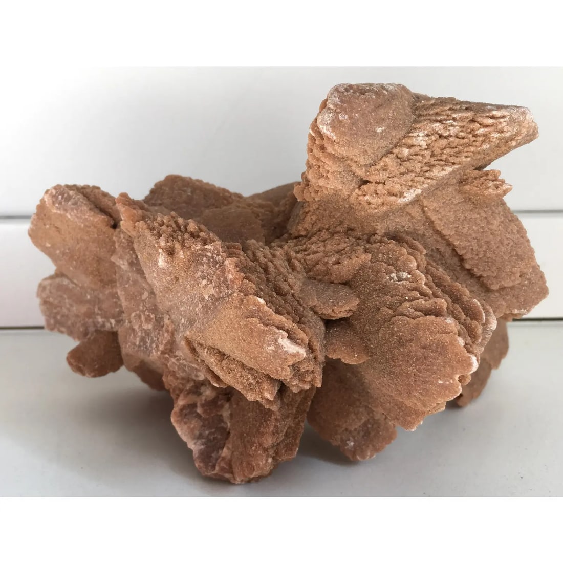 Desert Rose Selenite Crystal Formation - 4