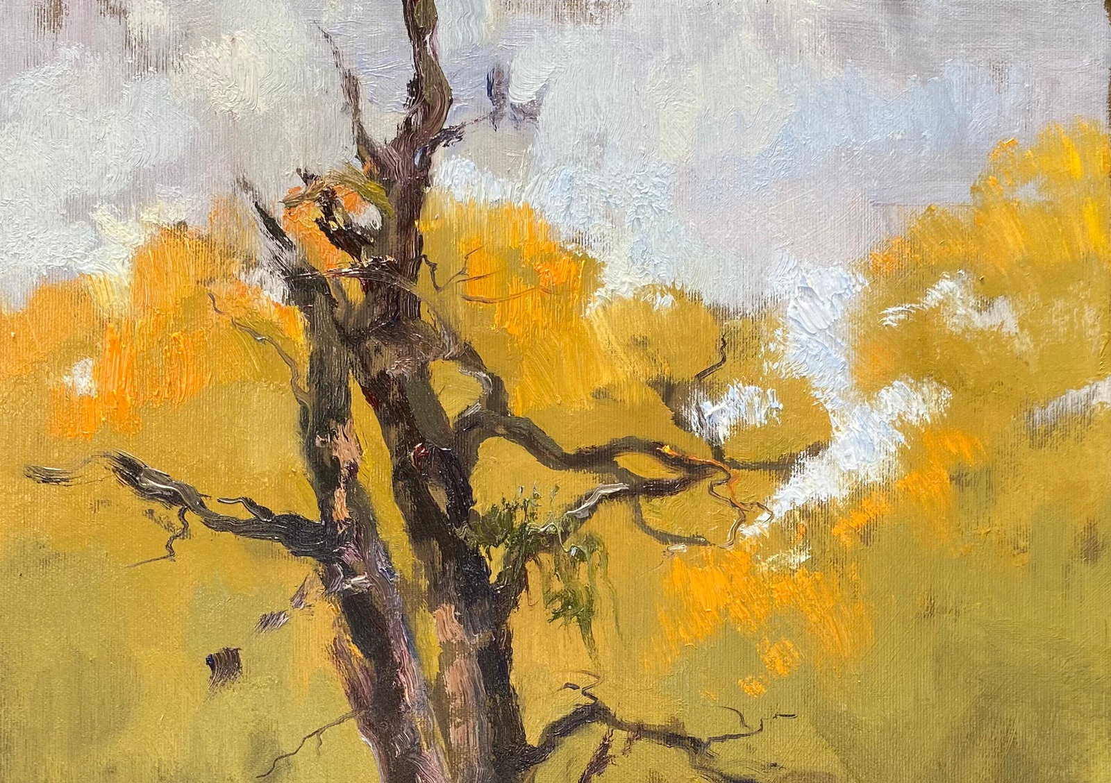Oil painting Tree in the lake Yulia D. - 2
