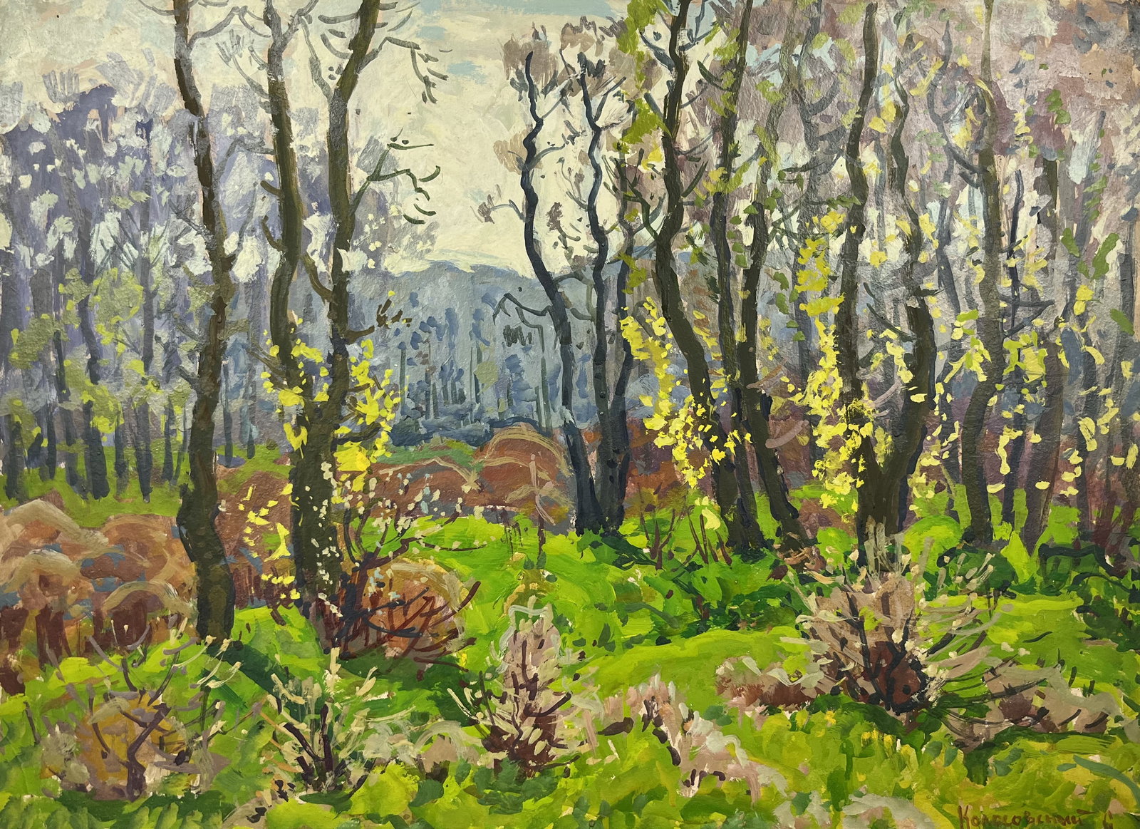 Oil painting Spring forest Kolosovsky G.: Title: Oil painting Spring forest Kolosovsky G. Description: 76Duk Painter: Kolosovsky G. S?ze: 50,5x68 cm/19,88x26,77 inches Components: Oil, cardboard Original painting from our collection ERA: Shor