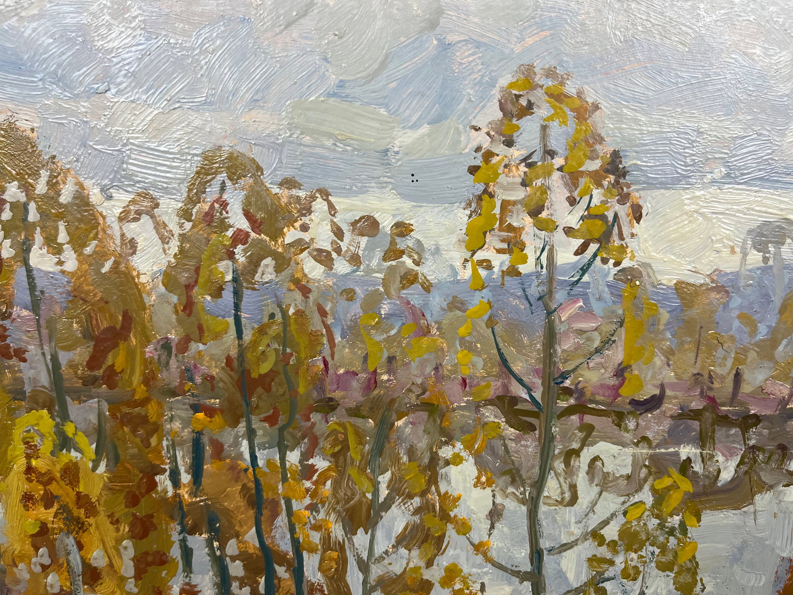 Oil painting Kolochak River Kolosovsky G. - 3
