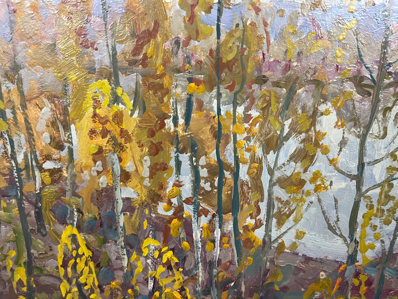 Oil painting Kolochak River Kolosovsky G. - 6