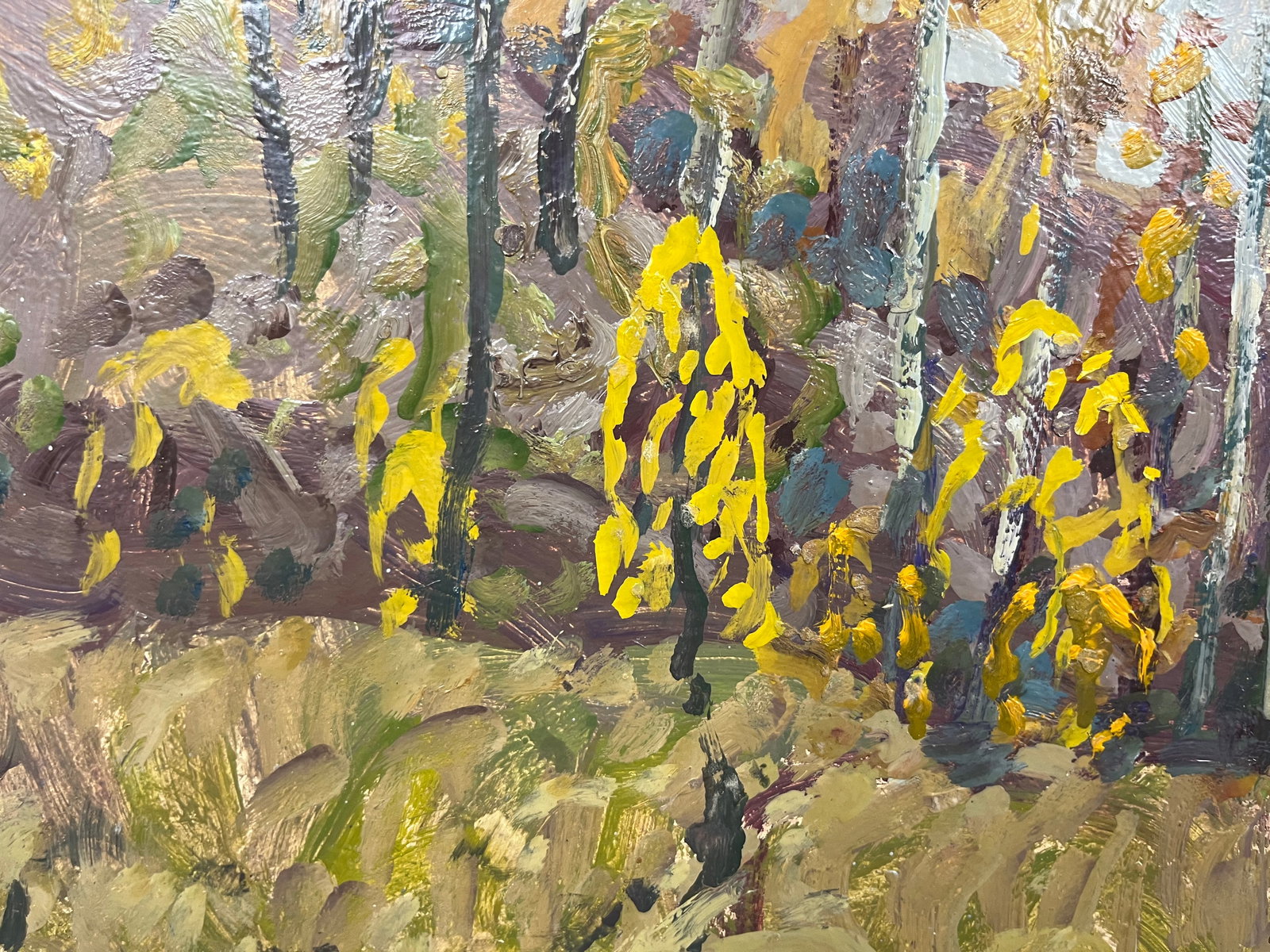 Oil painting Kolochak River Kolosovsky G. - 7