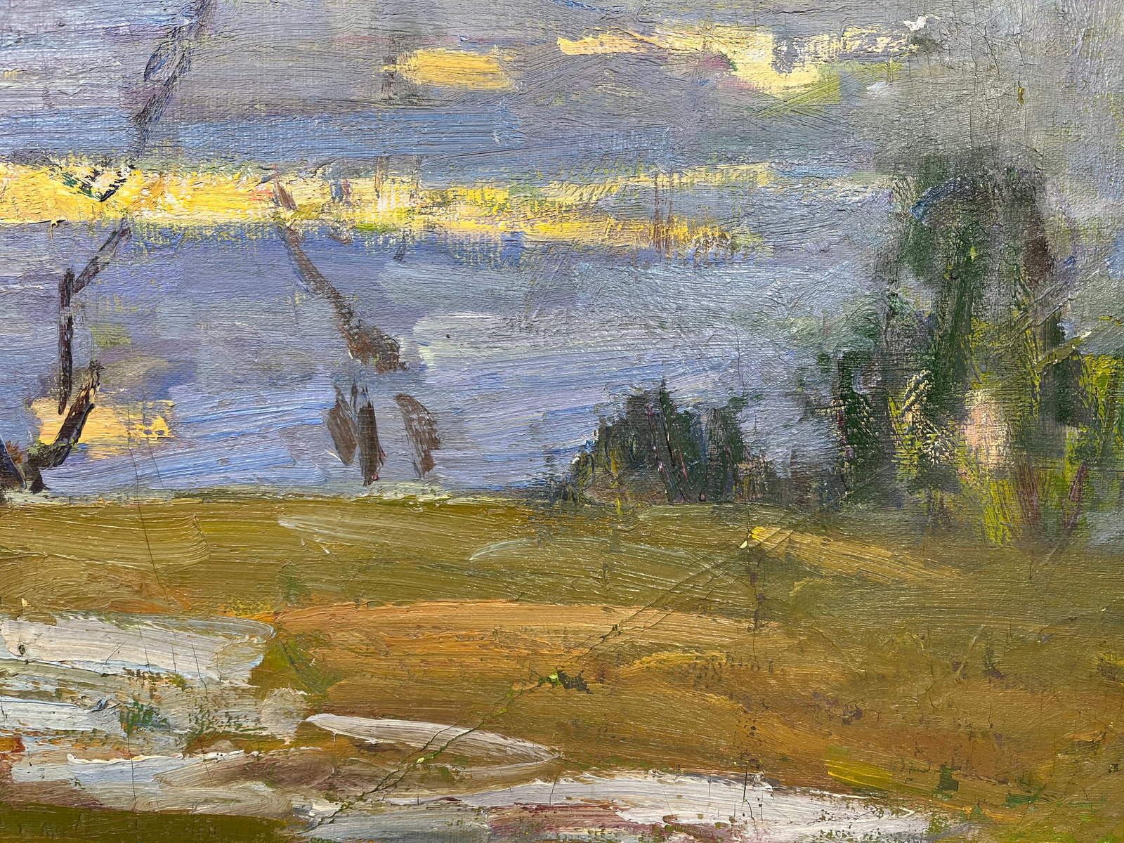 Oil painting Spring came Kogan-Shatz - 5