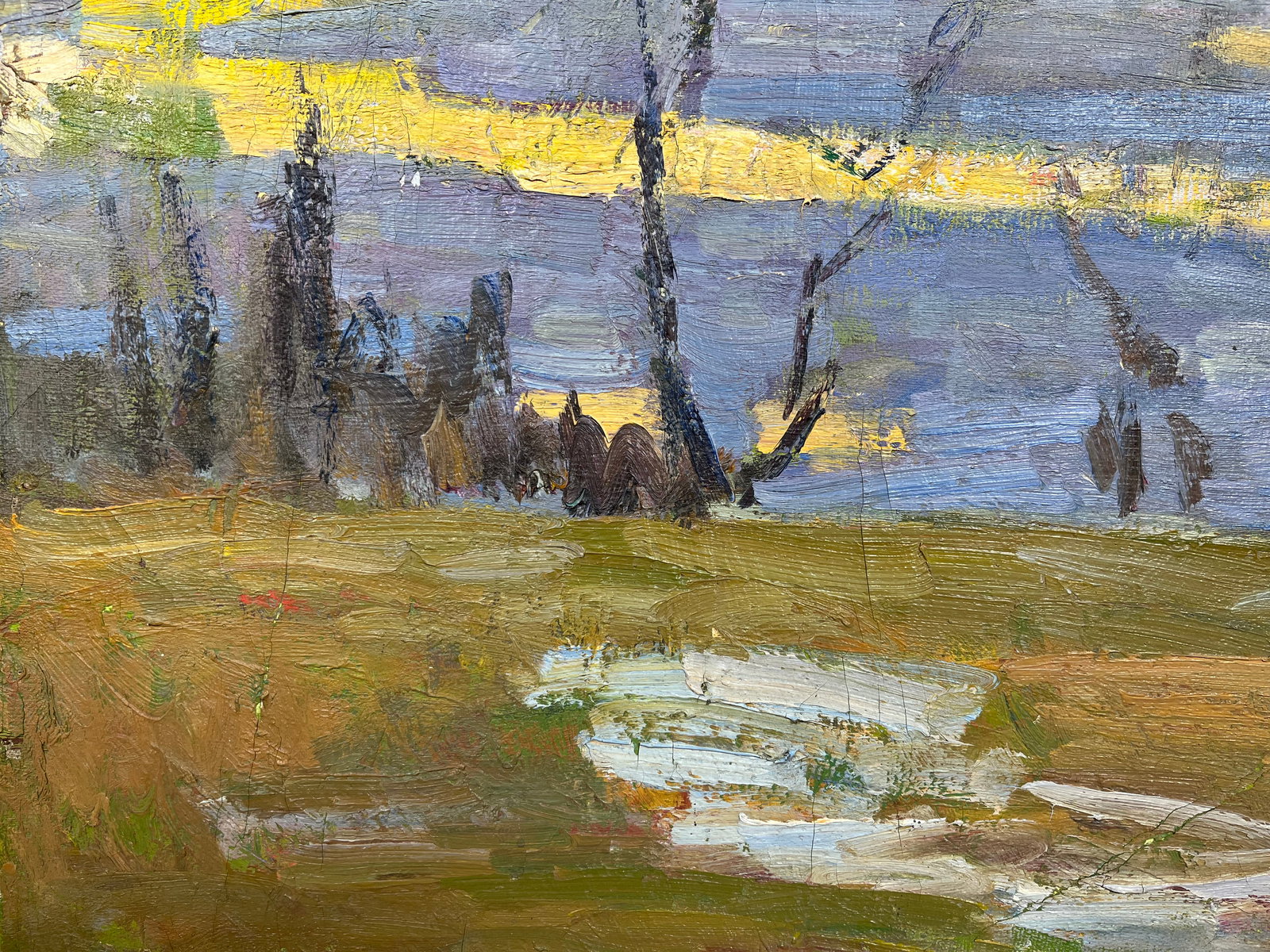 Oil painting Spring came Kogan-Shatz - 6