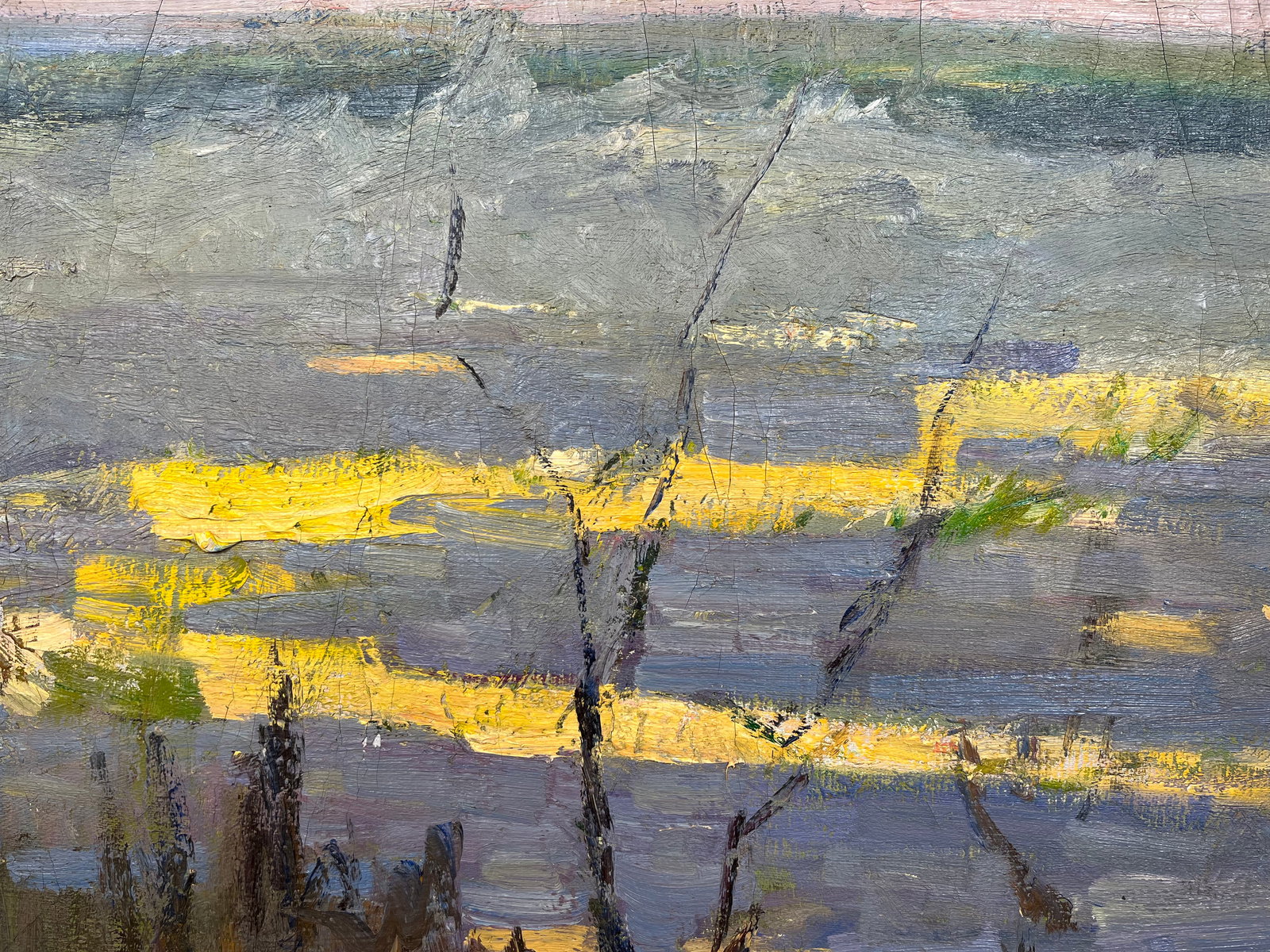 Oil painting Spring came Kogan-Shatz - 7