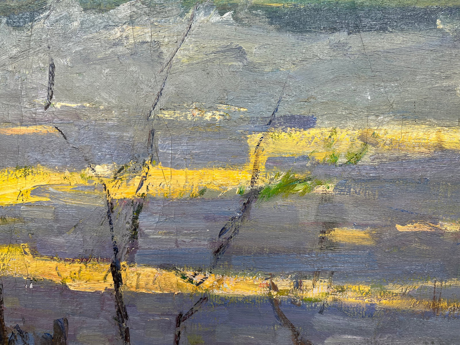 Oil painting Spring came Kogan-Shatz - 8