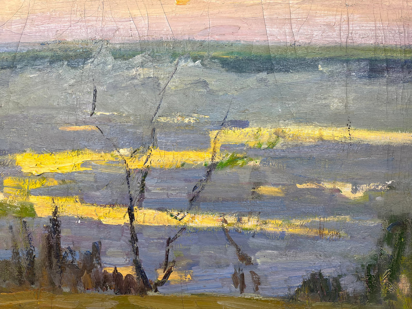 Oil painting Spring came Kogan-Shatz - 9