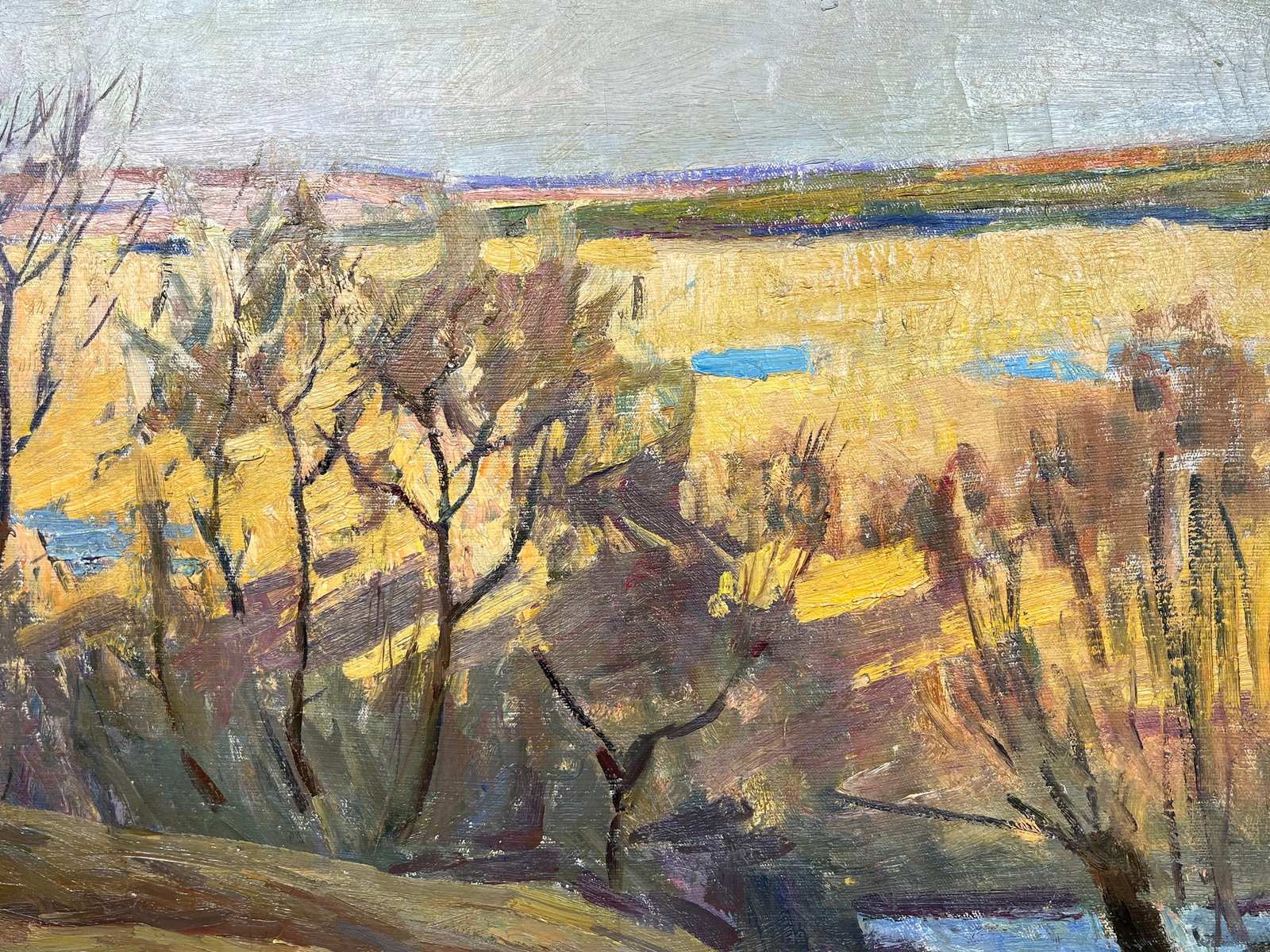 Oil painting Golden field Kogan-Shatz - 12