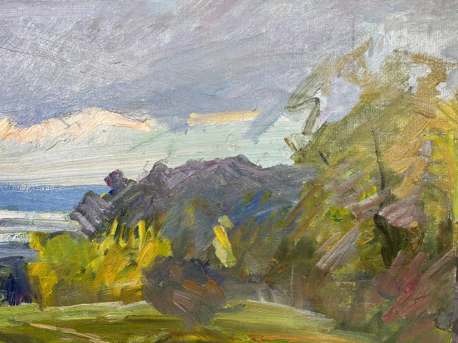 Oil painting Cloudy evening Kogan-Shatz: Title: Oil painting Cloudy evening Kogan-Shatz Description: 110??Duk Painter: Kogan-Shatz S?ze: 65x99 cm/25,59x38,97 inches Components: oil, canvas Original painting from our collection ERA: Short inf