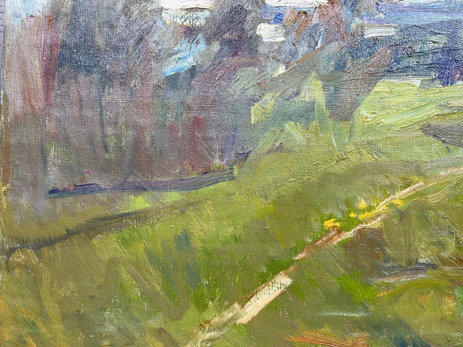 Oil painting Cloudy evening Kogan-Shatz - 2