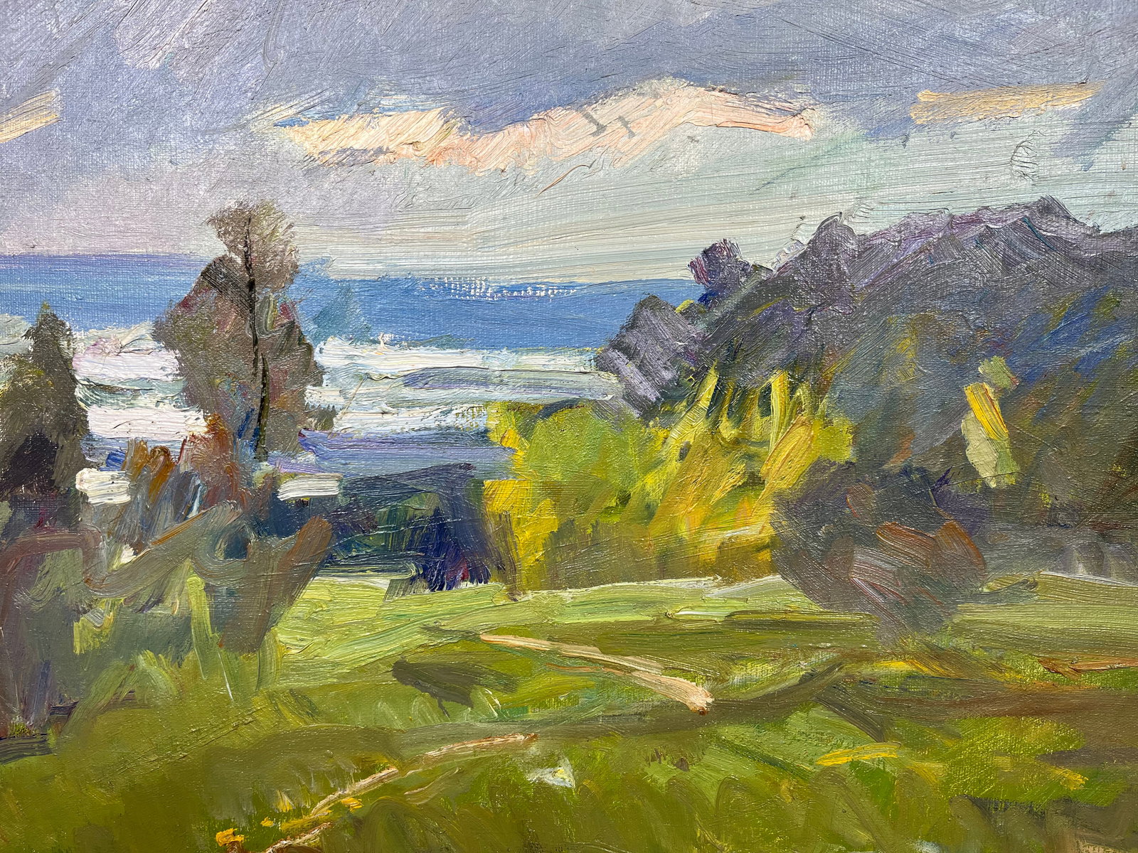 Oil painting Cloudy evening Kogan-Shatz - 5