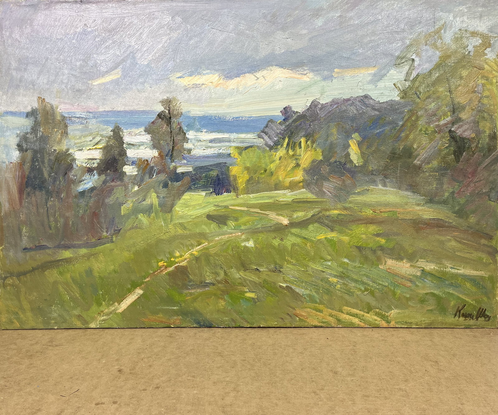 Oil painting Cloudy evening Kogan-Shatz - 9