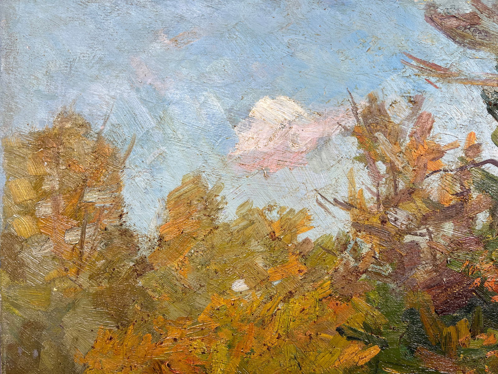 Oil painting Autumn colors Kogan-Shatz - 3