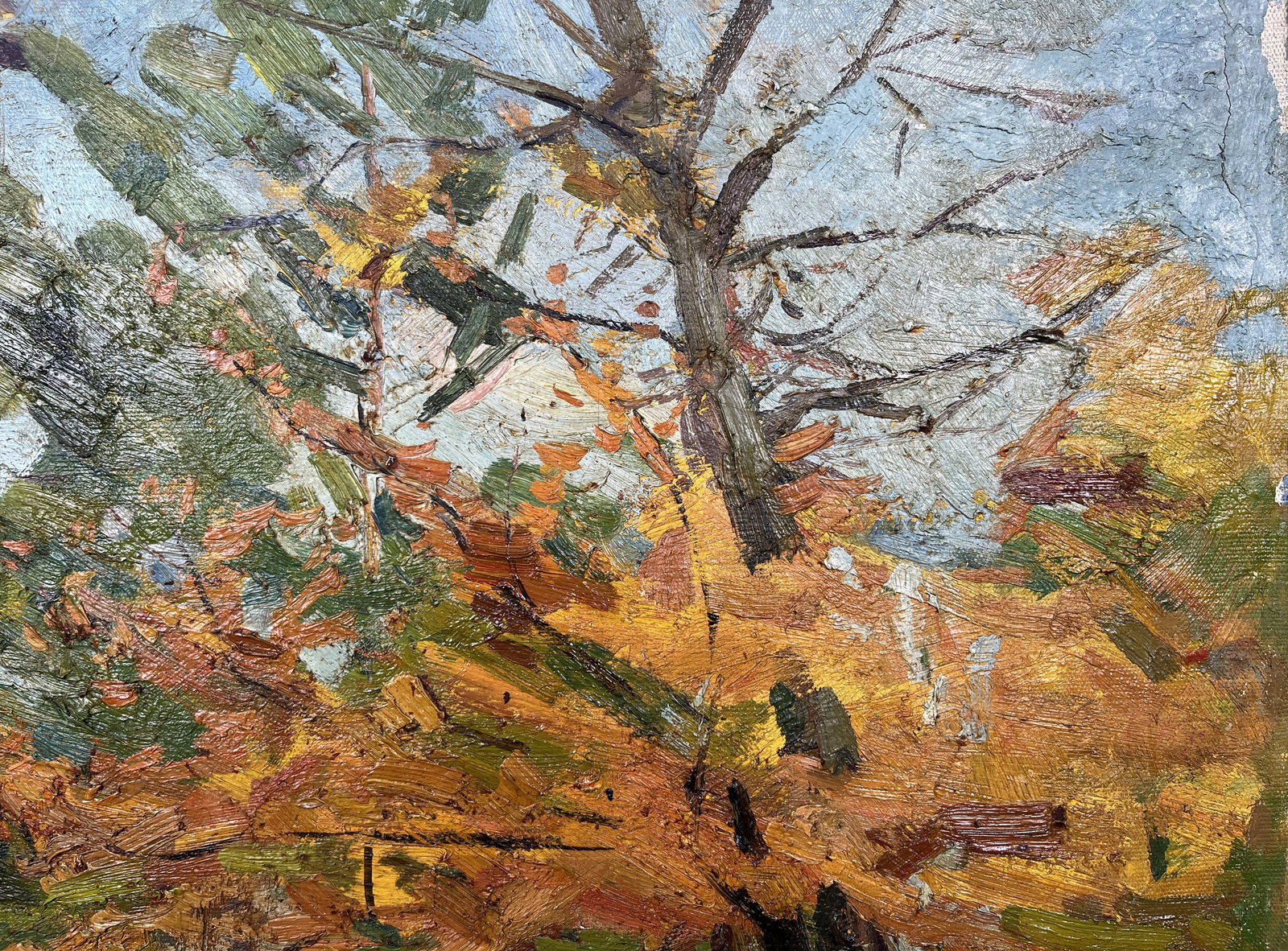 Oil painting Autumn colors Kogan-Shatz - 4