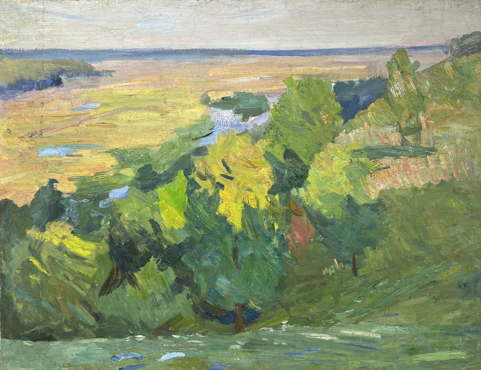 Oil painting Summer Valley Kogan-Shatz - 2